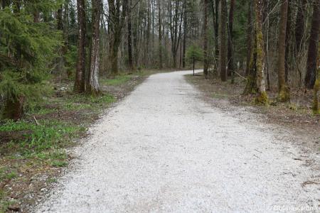 Z zasaditvijo dreves smo uradno odprli kolesarsko povezavo Kamnik–Godič (64)